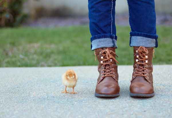 small chick beside man