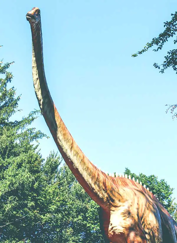 tallest dinosaur being huge