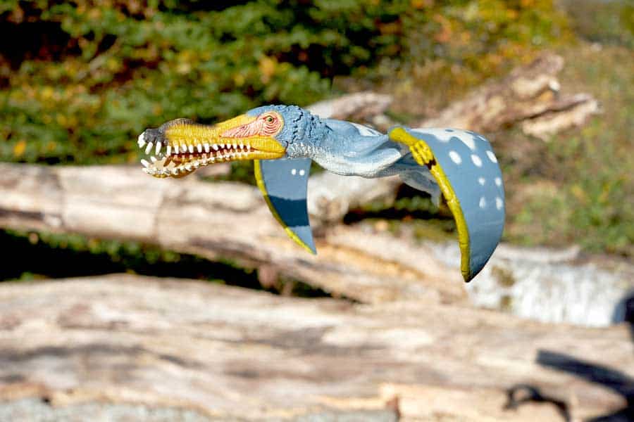 Pterosaurs that are now extinct