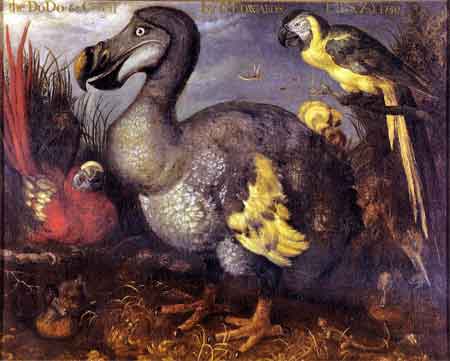 The Dodo (an extinct bird)