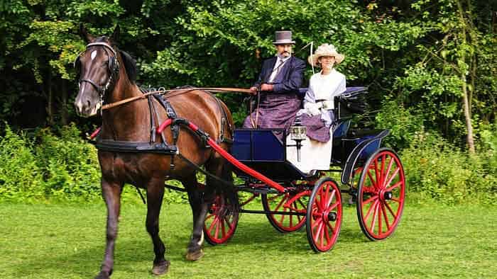 Horse pulling a cart at max capacity