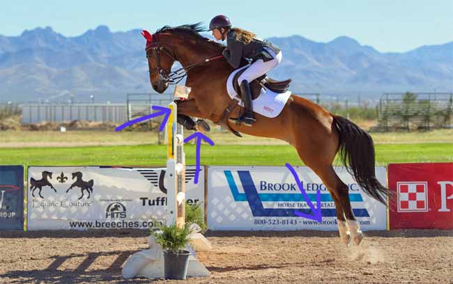 quarter horse jumping technique