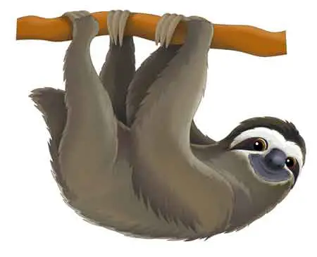 Sloth Lemur