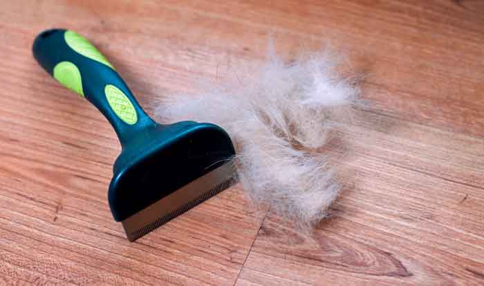 dog hair shedding brush