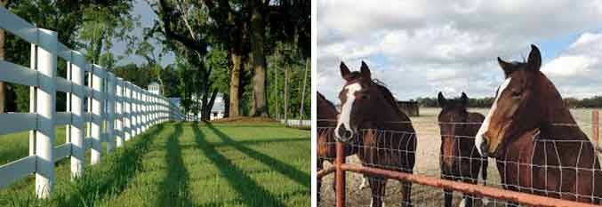 Horse fence construction