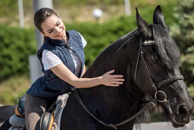 Horse stopping exercises inside the fence