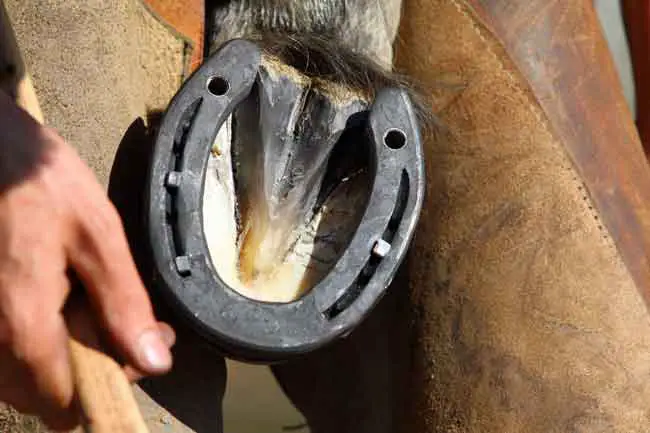 How do you get the nails out of old horseshoes?