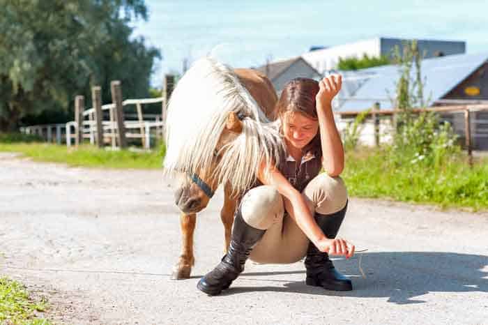 Miniature horse with kid